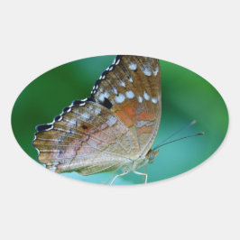 Pegatina Ovalada Hermosa mariposa Danaus Plexippus en hoja.