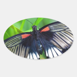 Pegatina Ovalada Hermosa mariposa negra, blanca y roja