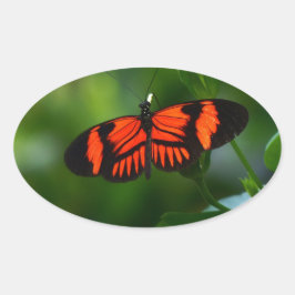 Pegatina Ovalada Hermosa mariposa roja y negra