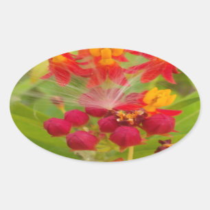 Pegatina Ovalada Hermosa y colorida floral con arte de hierbas arom