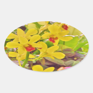 Pegatina Ovalada Hermosas orquídeas amarillas de otoño