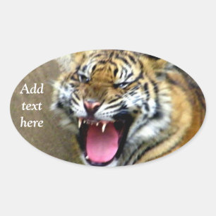 Pegatina Ovalada Hey_