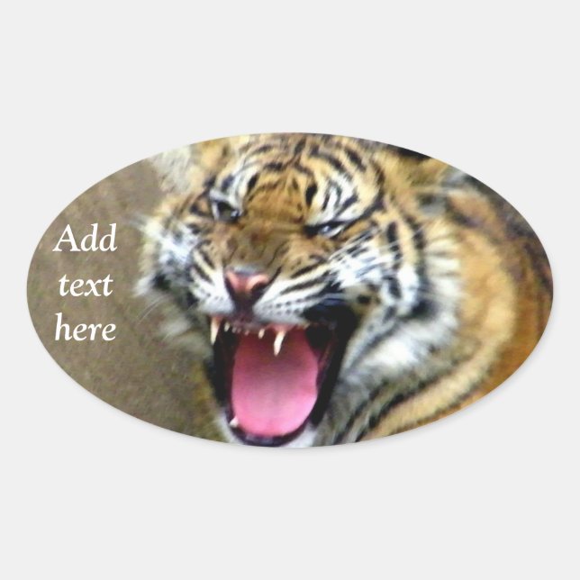 Pegatina Ovalada Hey_ (Anverso)