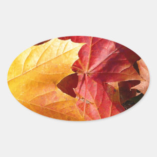 Pegatina Ovalada Hojas de otoño - ¡Asombroso!