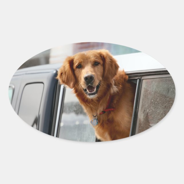 Pegatina Ovalada Hola (Anverso)