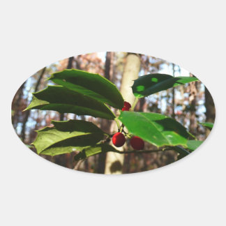 Pegatina Ovalada Holly Leaves I Holiday Botanical