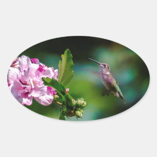 Pegatina Ovalada Hummingbird - Fotografía original