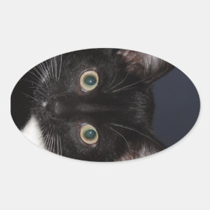 PEGATINA OVALADA I LUV KATZ
