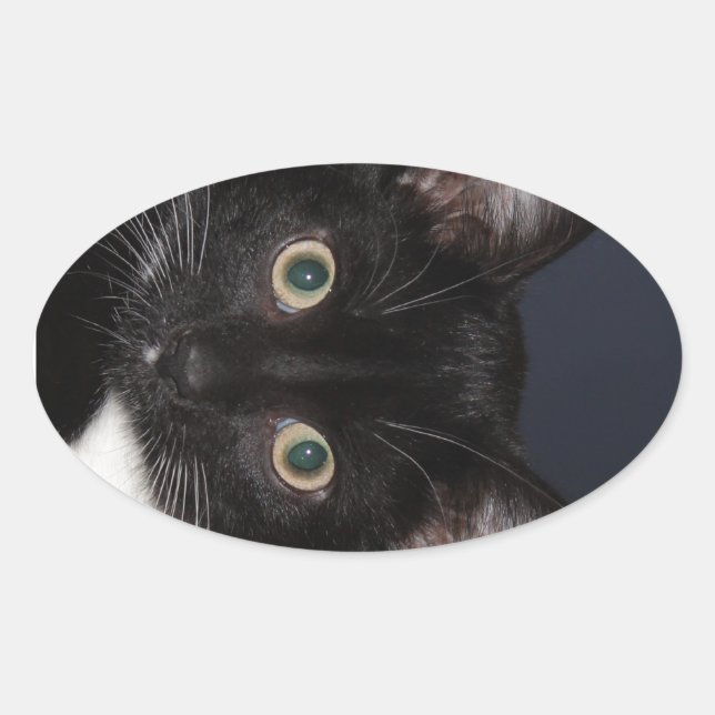 PEGATINA OVALADA I LUV KATZ (Anverso)