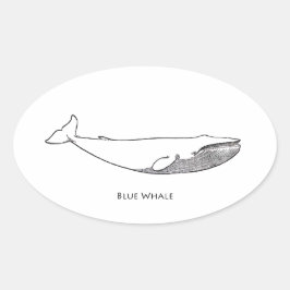 Pegatina Ovalada Ilustracion de ballena azul (arte de la línea)