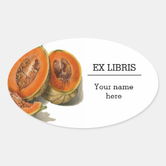 Pegatina Ovalada Ilustracion de melón de cantaloupe en rodajas ex l