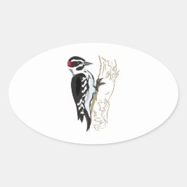 Pegatina Ovalada Ilustracion Woodpecker