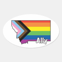 Indicador de progreso de MT Ally