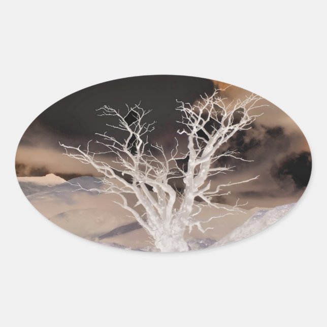 PEGATINA OVALADA INVIERNO DE MONTAÑA (Anverso)