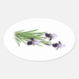 Pegatina Ovalada Iris Trio