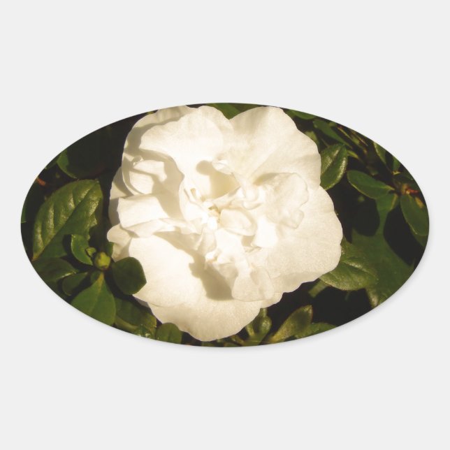 Pegatina Ovalada Jasmine (Anverso)