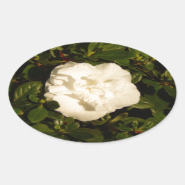 Pegatina Ovalada Jasmine