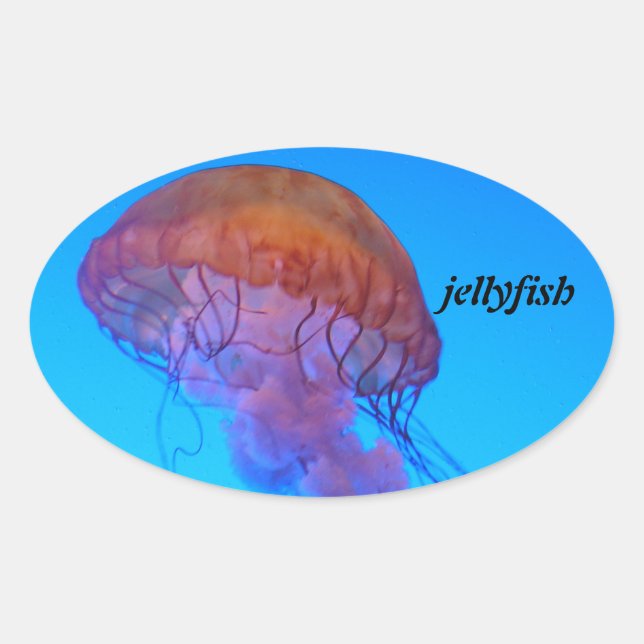 Pegatina Ovalada Jellyfish (Anverso)