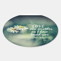 John 13:34 Amaos unos a otros pues os he amado