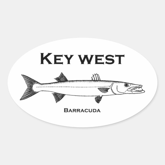 Pegatina Ovalada Key West Barracuda (Anverso)