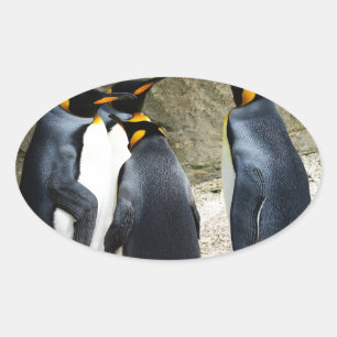Pegatina Ovalada King Penguin