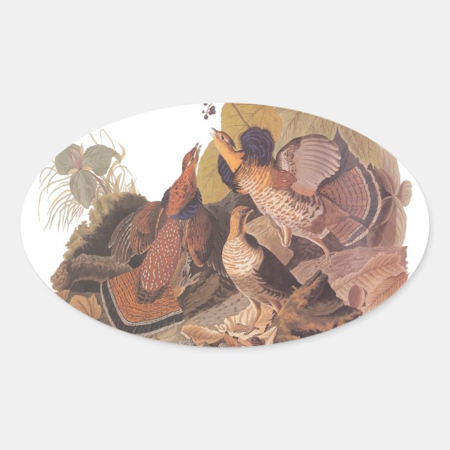 Pegatina Ovalada La malhumorada de Audubon (Anverso)