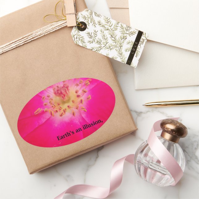 Pegatina Ovalada La Tierra es una ilusión (Regalar)