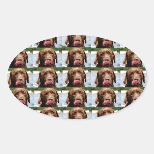 Pegatina Ovalada Labrador Retriever Chocolate Tiles BG (Anverso)