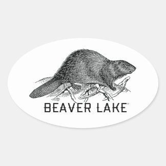 Pegatina Ovalada Lago Beaver
