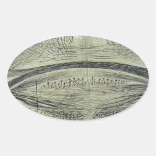 Pegatina Ovalada Las neuronas espinales de Cajal - 5