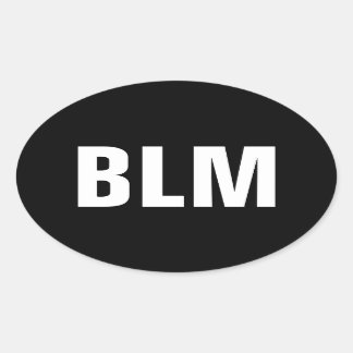 Pegatina Ovalada Las vidas negras importan
