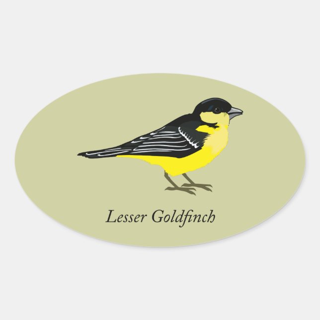 Pegatina Ovalada Lesser goldfinch (Anverso)