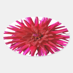 Pegatina Ovalada Lilly rosado