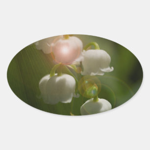 Pegatina Ovalada Lily De La Floral Del Valle