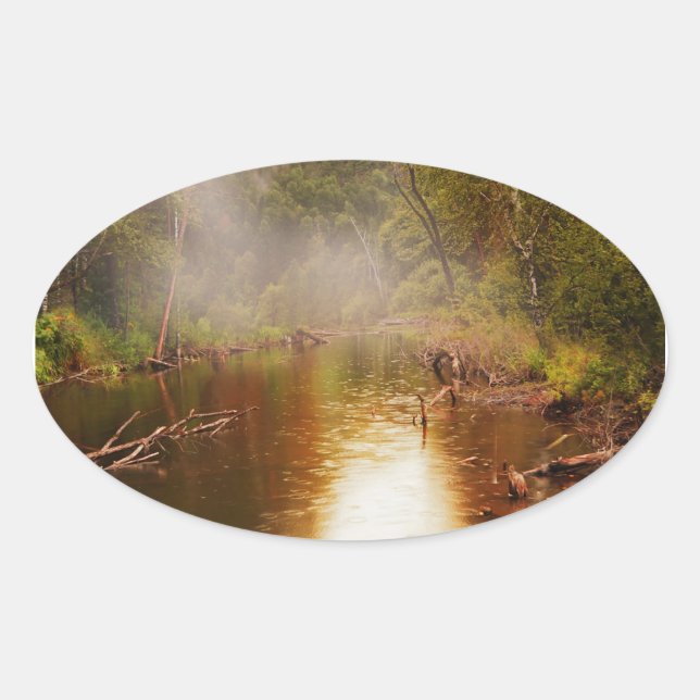 Pegatina Ovalada Lluvia en el bosque (Anverso)