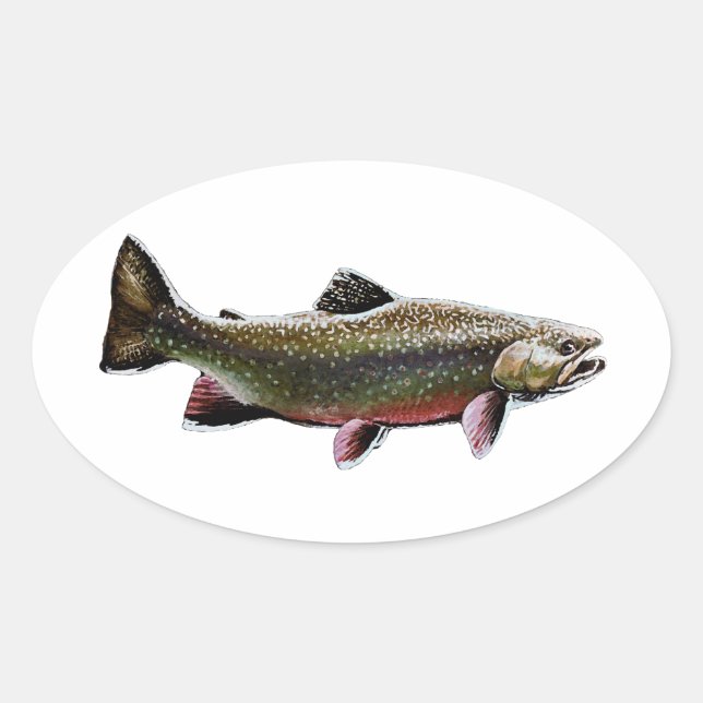 Pegatina Ovalada Logo de Brook Trout (Natación) (Anverso)