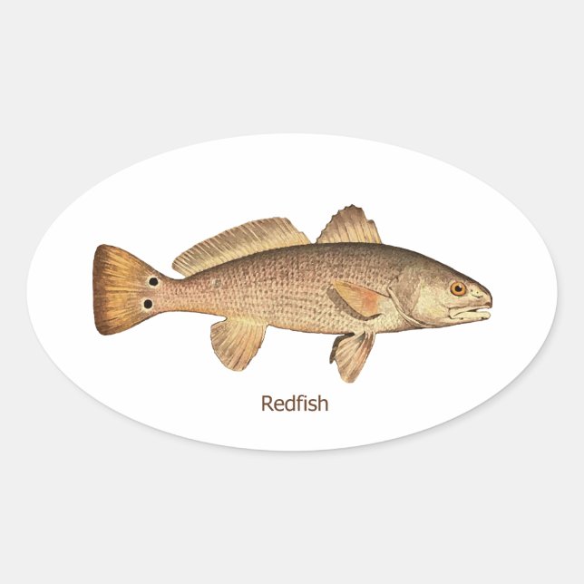 Pegatina Ovalada Logo de Redfish (Anverso)