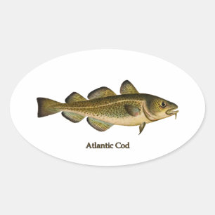 Pegatina Ovalada Logotipo del bacalao atlántico