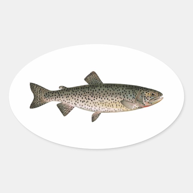 Pegatina Ovalada Lohanton Cutneck Trout (Anverso)