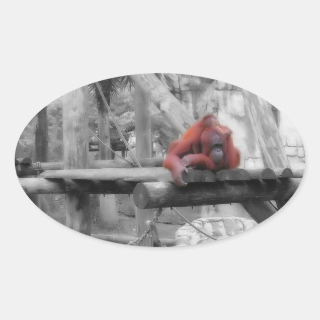 Pegatina Ovalada Madre e hijo de Orangutan (Anverso)