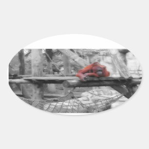 Pegatina Ovalada Madre e hijo de Orangutan