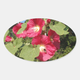 Pegatina Ovalada Malvarisas rosas