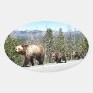 Pegatina Ovalada Mamá y Cubs salvajes del oso grizzly en