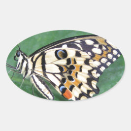Pegatina Ovalada Mariposa amarilla negra y blanca en hojas