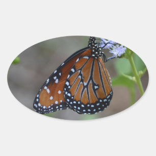 Pegatina Ovalada Mariposa monarca en la serie mariposa de LellO