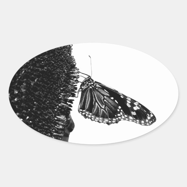Pegatina Ovalada mariposa tímida blacq (Anverso)