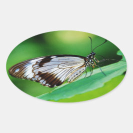 Pegatina Ovalada Marrón oscuro y mariposa gris