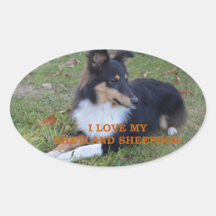 Pegatina Ovalada Me encanta mi Shetland Sheepdog Black Tri