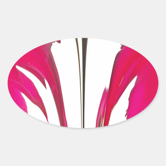 Pegatina Ovalada Moda asombrosa rosa rosa roja bajo el cielo blanco (Anverso)