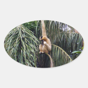 Pegatina Ovalada Mono Gibbon Colgando Por Ahí,